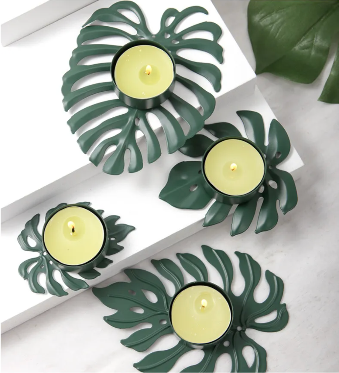 Monstera ljushållare – Set om 4